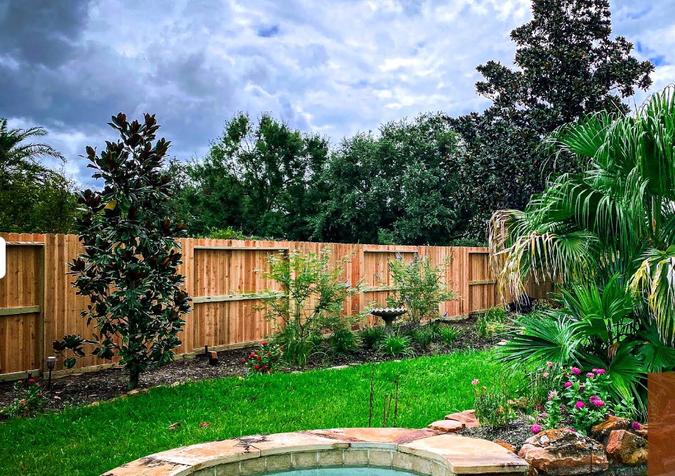Cedar privacy fence around a landscaped pool — Gomez Fencing